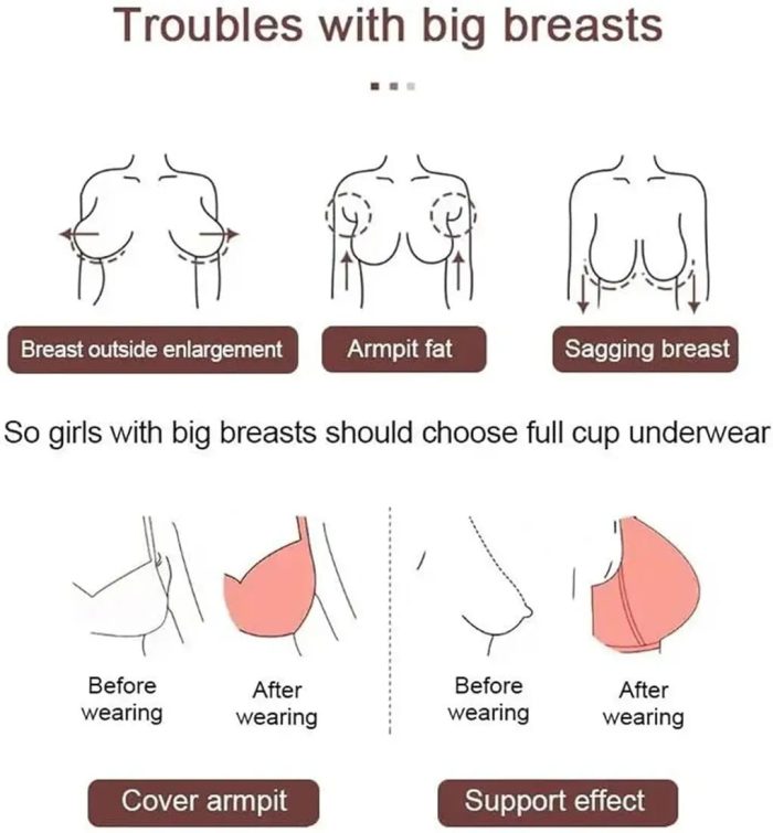 CoreCuddle Imported Premium Seamless Push Up Anti-Sagging Bra for Women & Girls - Image 5